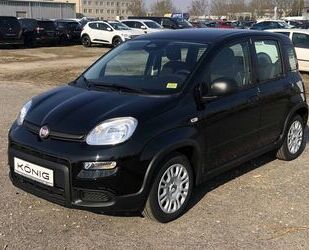 Fiat Panda Gebrauchtwagen