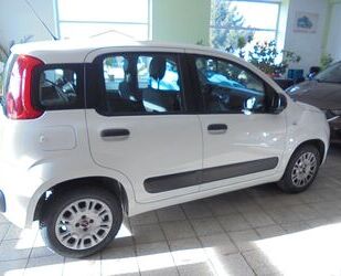 Fiat Panda Gebrauchtwagen