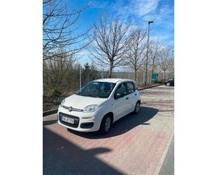 Fiat Panda Gebrauchtwagen