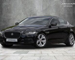 Jaguar XE Gebrauchtwagen