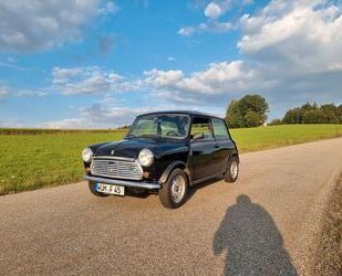 Austin Rover Andere Gebrauchtwagen
