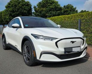 Ford Mustang Mach-E Gebrauchtwagen