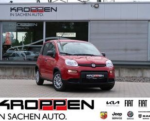 Fiat Panda Gebrauchtwagen