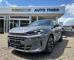 Cupra Terramar Gebrauchtwagen