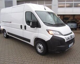 Fiat Ducato Gebrauchtwagen
