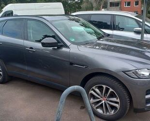 Jaguar F-Pace Gebrauchtwagen