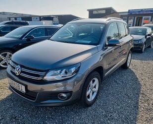 VW Tiguan Gebrauchtwagen