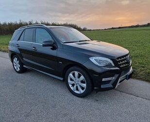 Mercedes-Benz ML 350 Gebrauchtwagen