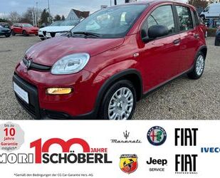 Fiat Panda Gebrauchtwagen