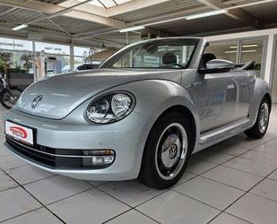 VW Beetle Gebrauchtwagen