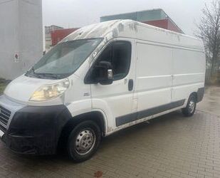 Fiat Ducato Gebrauchtwagen