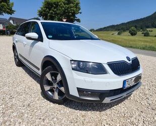 Ferrari Octavia 