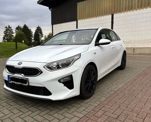 Kia ceed / Ceed Gebrauchtwagen
