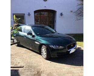 Jaguar XE Gebrauchtwagen