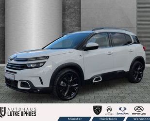 Citroen C5 Aircross Gebrauchtwagen