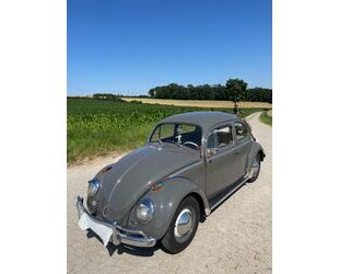 VW Käfer Gebrauchtwagen