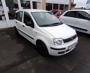 Fiat Panda Gebrauchtwagen