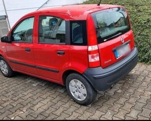 Fiat Panda Gebrauchtwagen