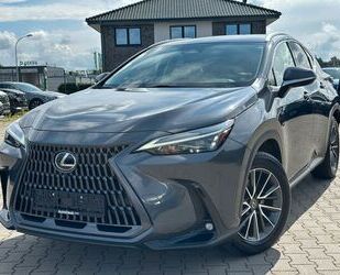 Lexus NX 350h Gebrauchtwagen