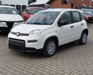 Fiat Panda Gebrauchtwagen