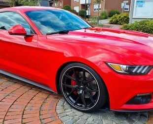 Ford Mustang Gebrauchtwagen