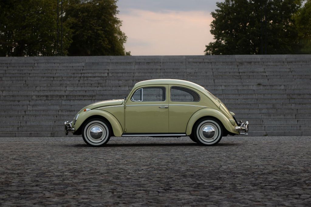 Beetle