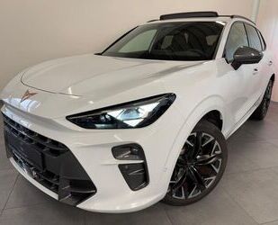 Cupra Terramar Gebrauchtwagen
