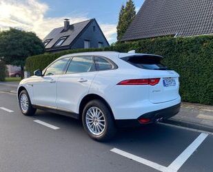 Jaguar F-Pace Gebrauchtwagen