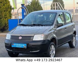 Fiat Panda Gebrauchtwagen