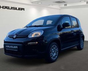Fiat Panda Gebrauchtwagen