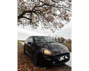 Fiat Punto Evo Gebrauchtwagen