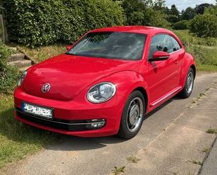 Chrysler Beetle 