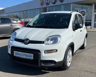 Fiat Panda Gebrauchtwagen