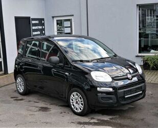 Fiat Panda Gebrauchtwagen