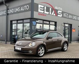 VW Beetle Gebrauchtwagen