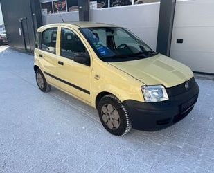Fiat Panda Gebrauchtwagen