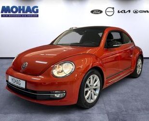 VW Beetle Gebrauchtwagen