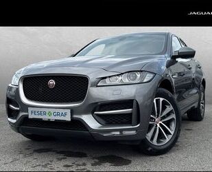 Jaguar F-Pace Gebrauchtwagen