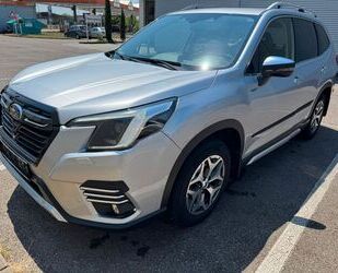 Subaru Forester Gebrauchtwagen