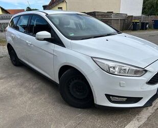 Ford Focus Gebrauchtwagen
