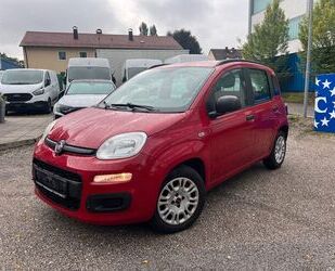 Fiat Panda Gebrauchtwagen