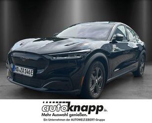 Ford Mustang Mach-E Gebrauchtwagen