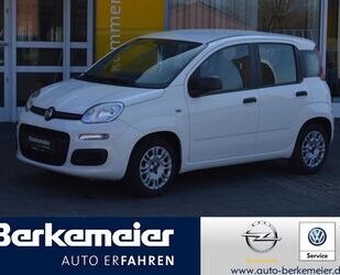 Fiat Panda Gebrauchtwagen
