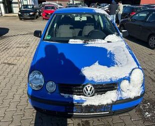VW Polo Gebrauchtwagen