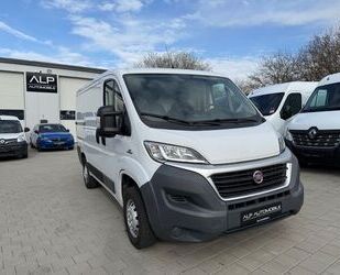 Fiat Ducato Gebrauchtwagen