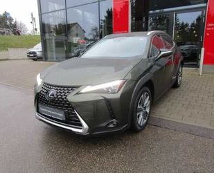 Lexus UX Gebrauchtwagen