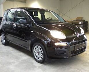 Fiat Panda Gebrauchtwagen