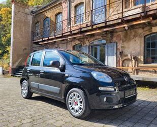 Fiat Panda Gebrauchtwagen
