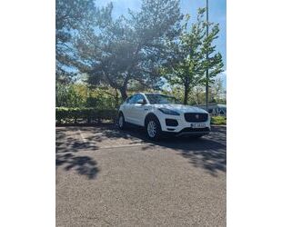 Jaguar E-Pace Gebrauchtwagen
