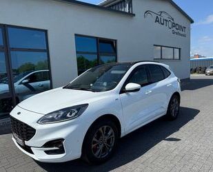 Ford Kuga Gebrauchtwagen